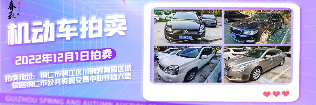 【12月01日】銅仁市15輛機(jī)動車拍賣公告